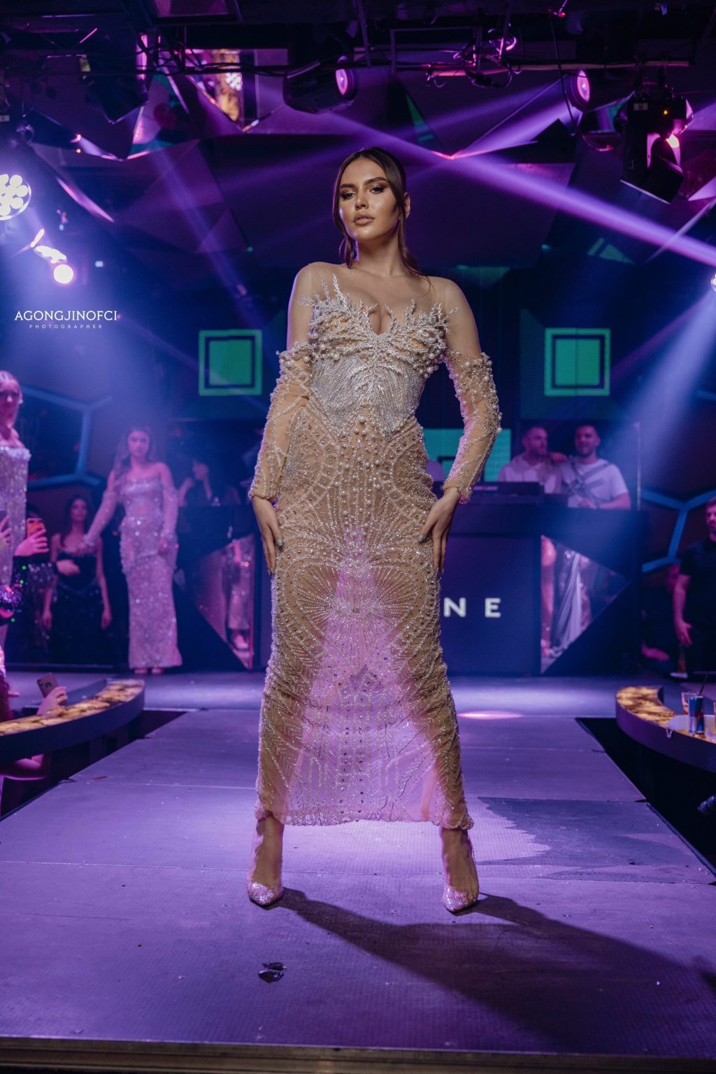 Strapless Sheer Embellished Dress